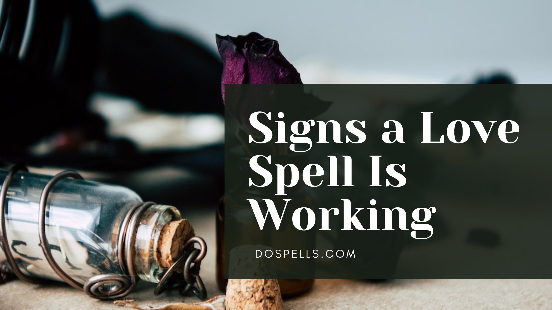 Signs a Love Spell Is Working Unveiling the Mysteries of Magical Love